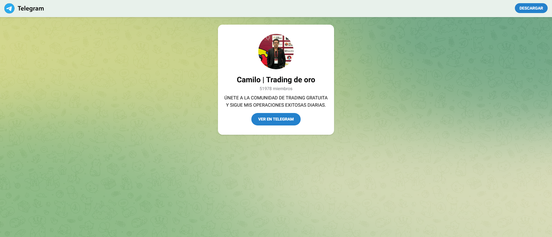 Screenshot of camilotrade.space