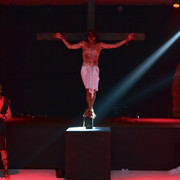 IMG 0420
