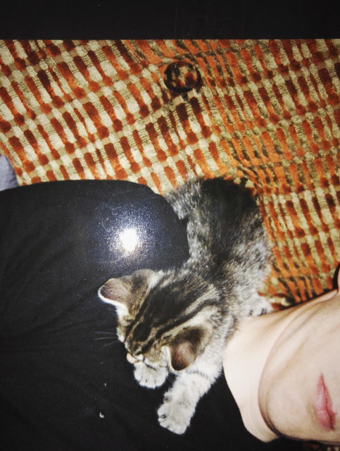 hydroandcat