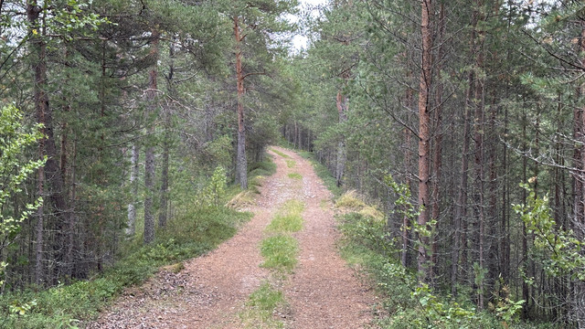 IMG 5736.jpg