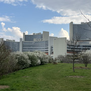 IMG-8744