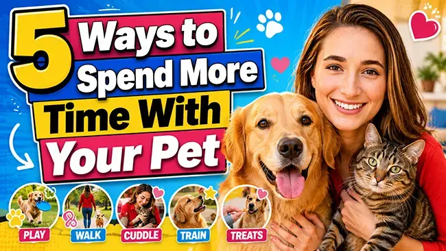 Spending Quality Time with Your Pet