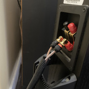 IMG 7856