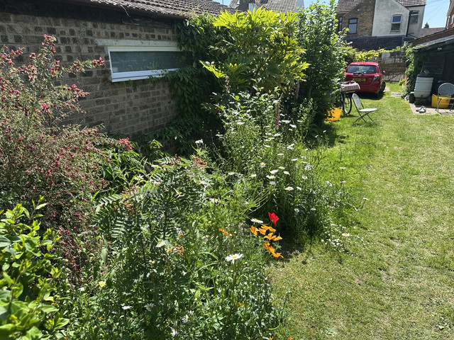IMG 7233.jpg