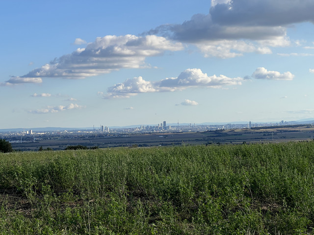 IMG-2559