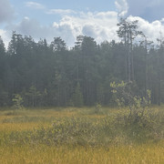 IMG 4577