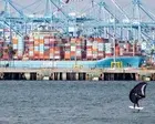 Trump Proposes New Tariffs on Global Trade