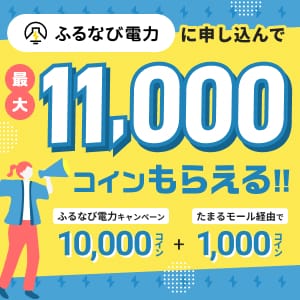 ふるなび電力バナー