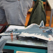 IMG-8384