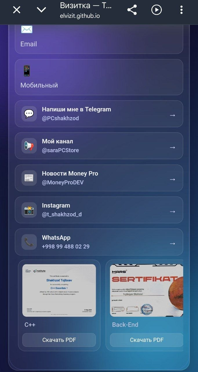 Elvizit interface screenshot 4