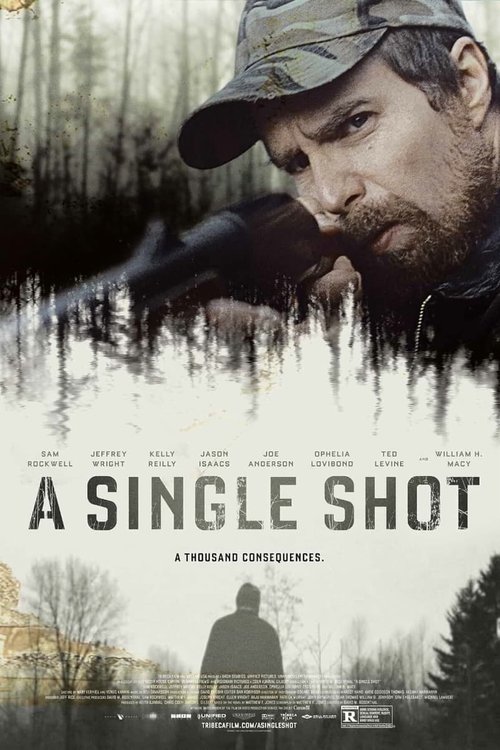 Czysty strzał / A Single Shot (2013) PL.1080p.BDRip.H264-BP007 / Lektor PL