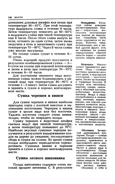 1989-151