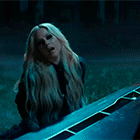 19.gif