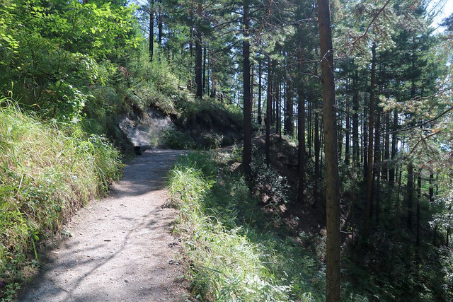 IMG 0341.jpg