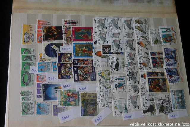 IMG-3719