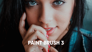brush-3