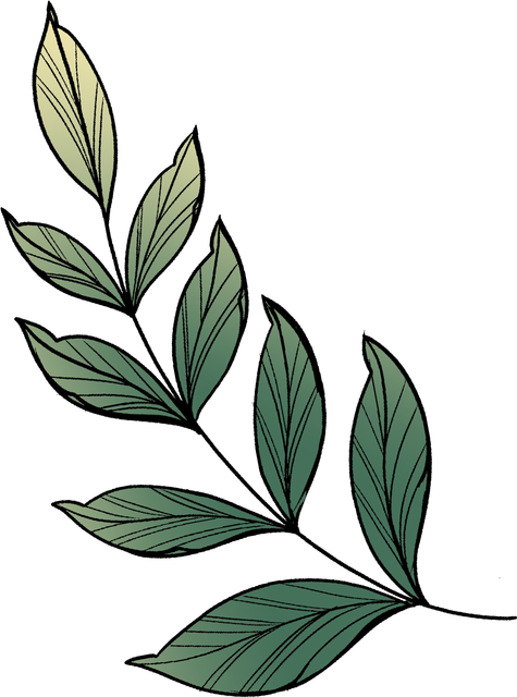 3a1f0a7ac497a6cc633f0ad312c4e6f7.png
