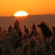 IMG-3010
