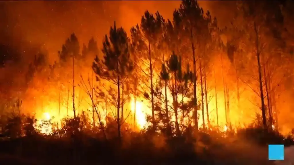 France's Unprecedented Wildfires: A Confluence of Climate and History