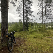 IMG 4503