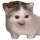 https://i.ibb.co/4ZL663c1/2.png