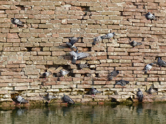 P1010419