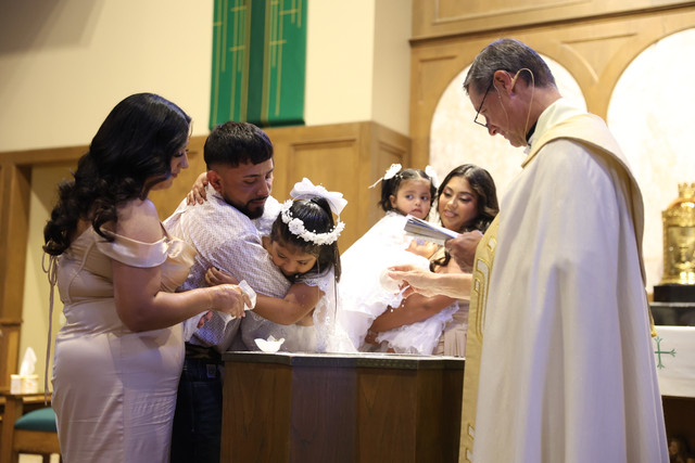 IMG-8831