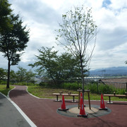 P1350311
