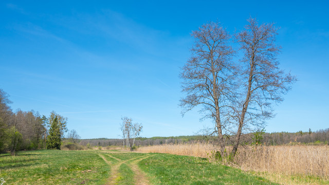 podlasie 2 08.jpg