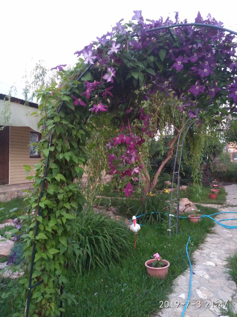 IMG-20190703-214713