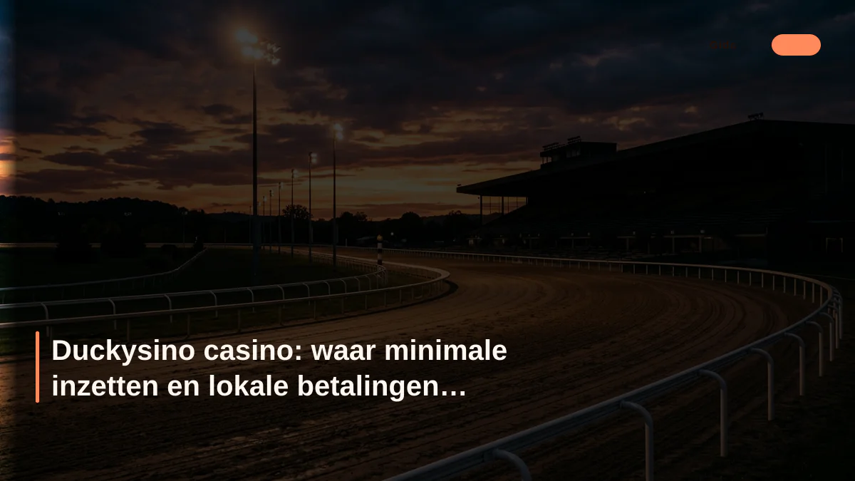Duckysino casino: waar minimale inzetten en lokale betalingen samenkomen