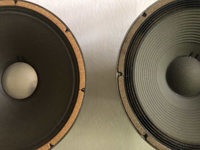 [Image: IMG-9635.jpg]