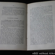 IMG-4216