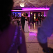 IMG-3569