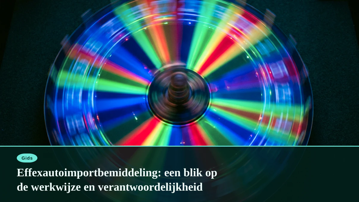 Effexautoimportbemiddeling: een blik op de werkwijze en verantwoordelijkheid