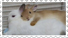 IMG 5566.png