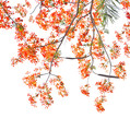 shutterstock 142433074 Copy