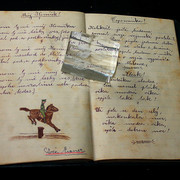 IMG-7082