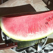 IMG 20260820 2