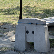 IMG 8157