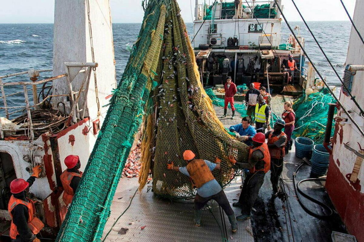 Illustration - Pêche illicite dans le Golfe de Guinée : les bateaux asiatiques qui volent le poisson africain en toute impunité