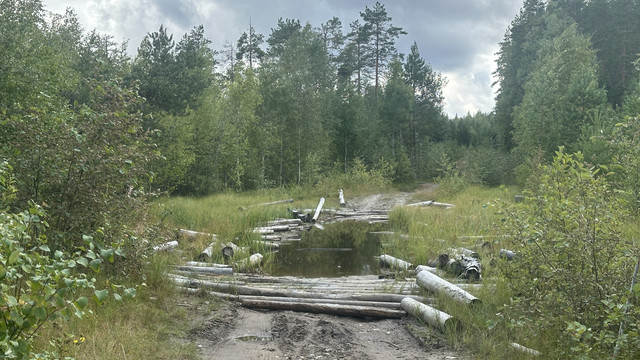 IMG 4601.jpg