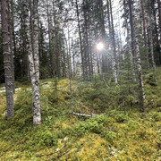 IMG 4788