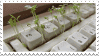 keyboard with plants growing out of it