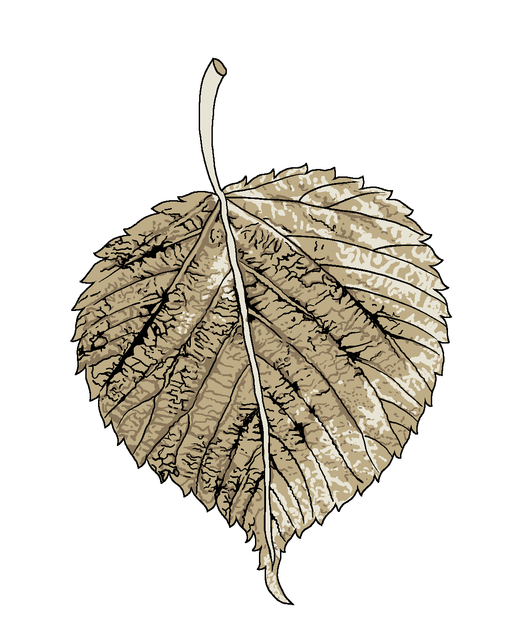 e29a329a48ccf7620a084f9a0abc59c6.png