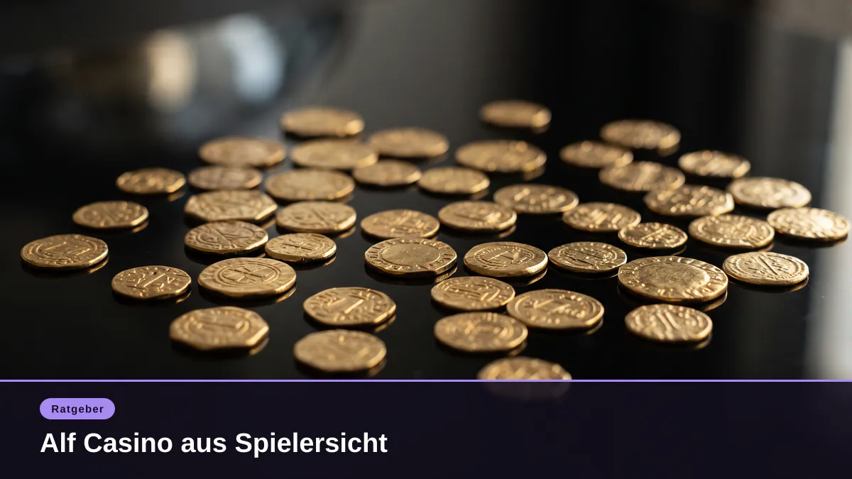 Alf Casino aus Spielersicht
