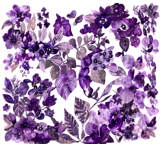 25 07 26.png