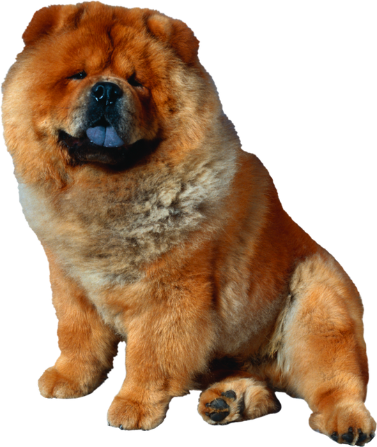 18-691519