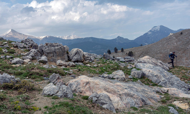 DSC00245 (2).jpg