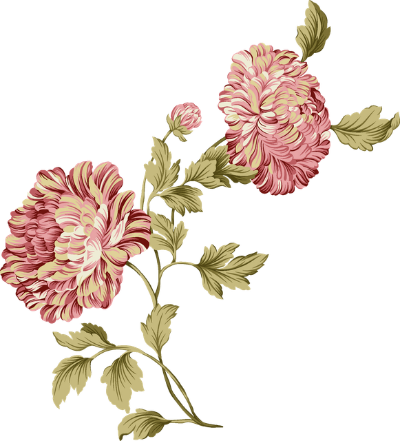 ccd37a095b5c61d62eaa6b93eb8f7813.png